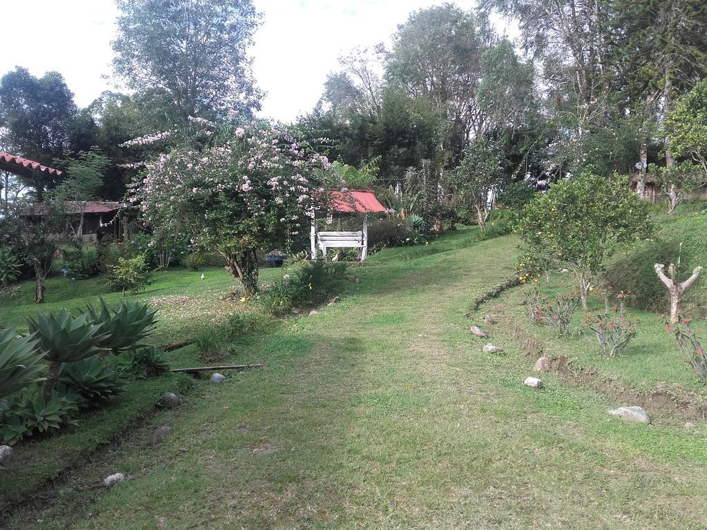 La Gaviota Bnb Bed & Breakfast Filandia Ngoại thất bức ảnh